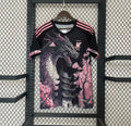 Maillot Japon 2024 Concept V2