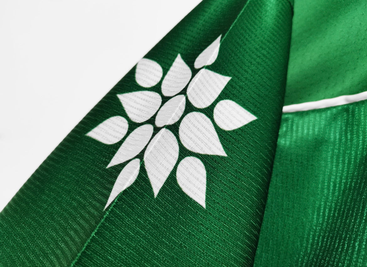 Maillot Rétro Palmeiras 1998-99 Domicile
