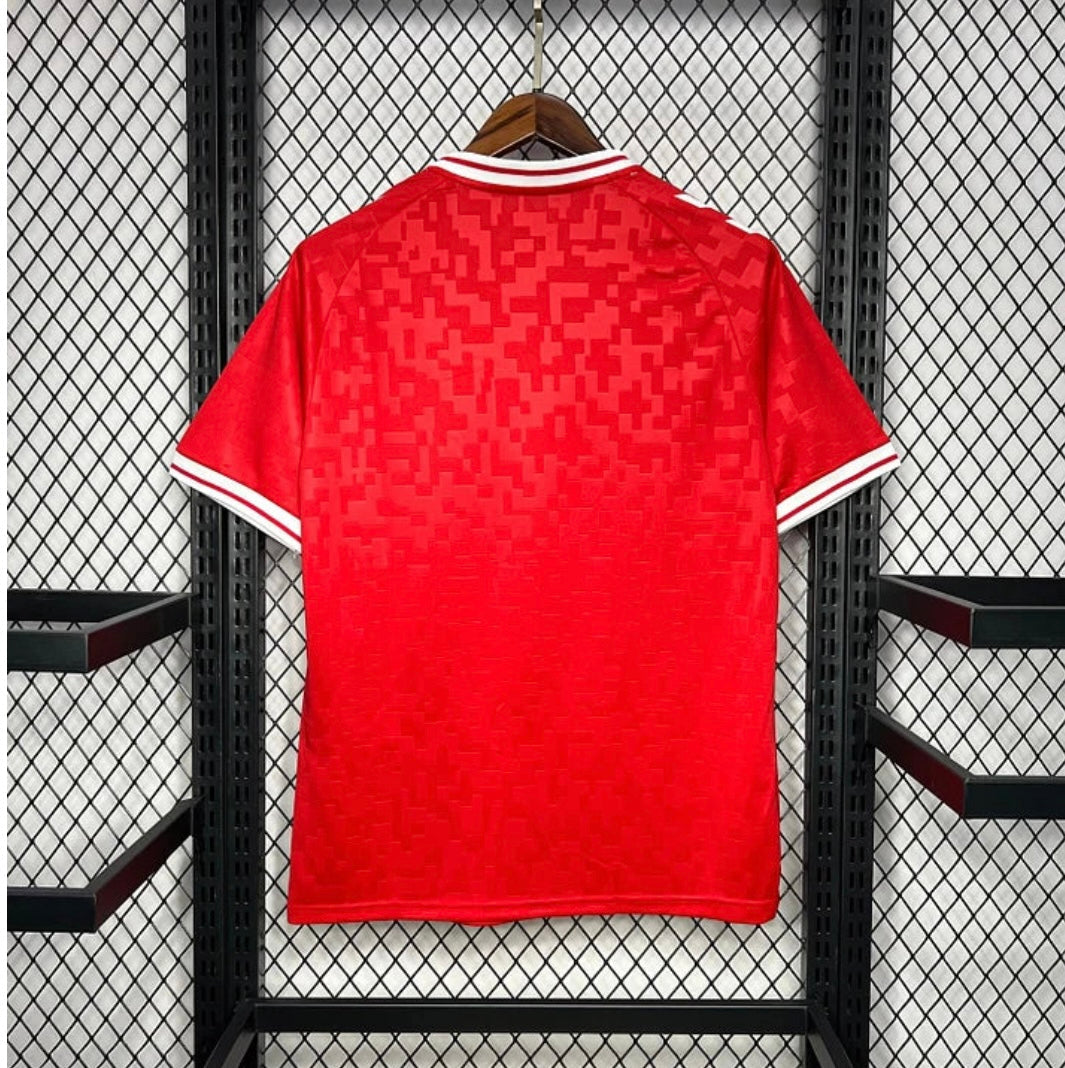 Maillot Danemark 2024 Domicile