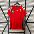 Maillot Hongrie 2024 Domicile