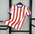 Maillot Paraguay 2026 Domicile
