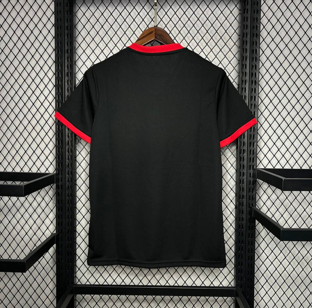 Maillot Japon 2024 Concept V15