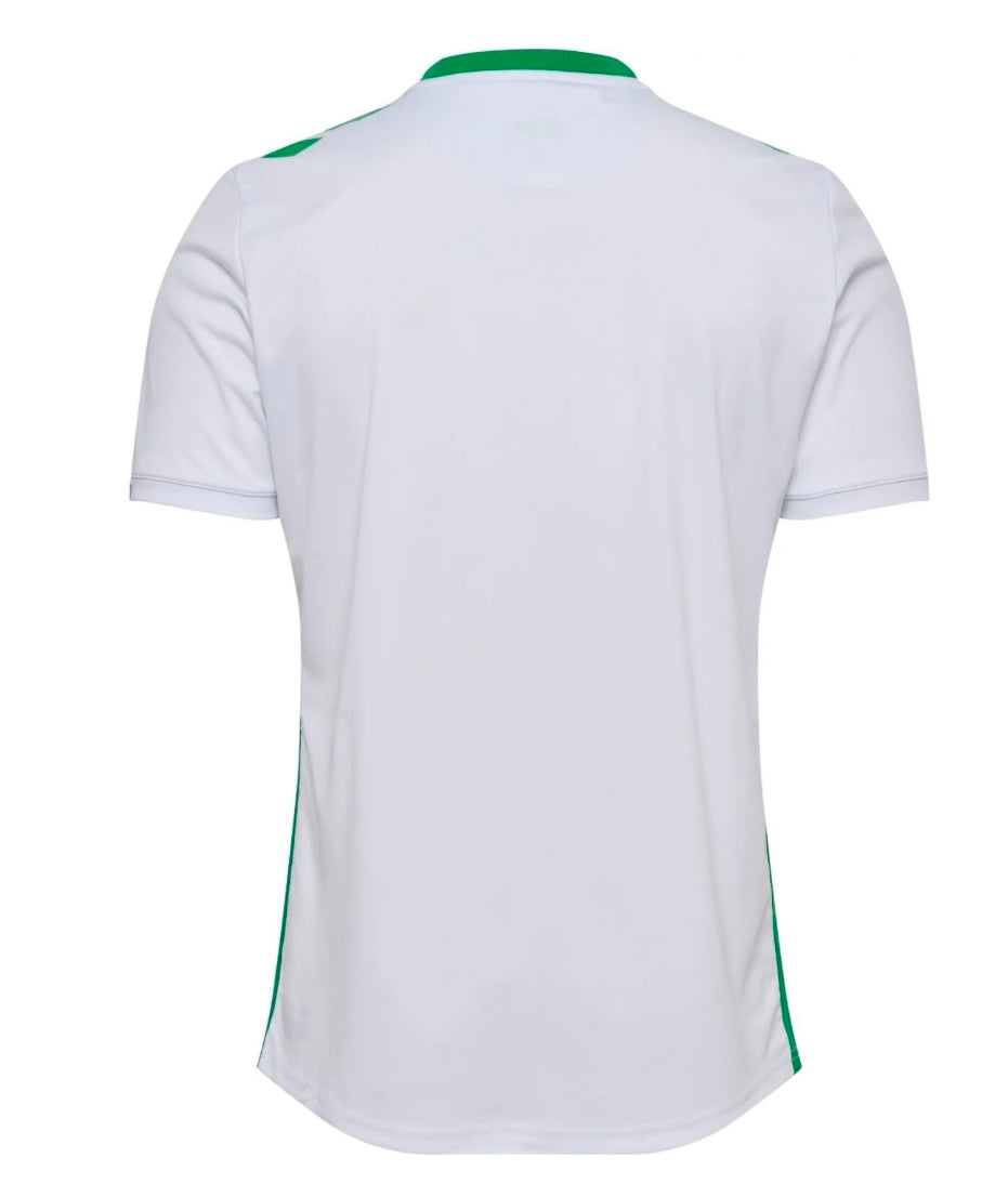 Maillot AS Saint-Étienne 2024-25 Extérieur